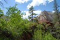 2011-07-13_Zion Canyon-Tag18_228